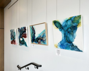 Exposition Catherine Bédard MRC N-B