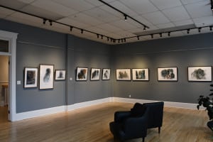 Les gardiens de la terre(8)_Brigitte Labbe?