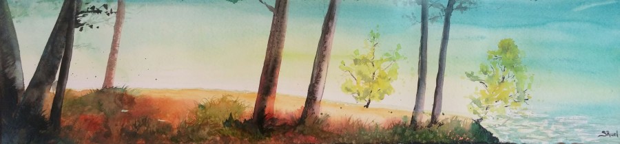 2016-42-en-avant-la-lumiere