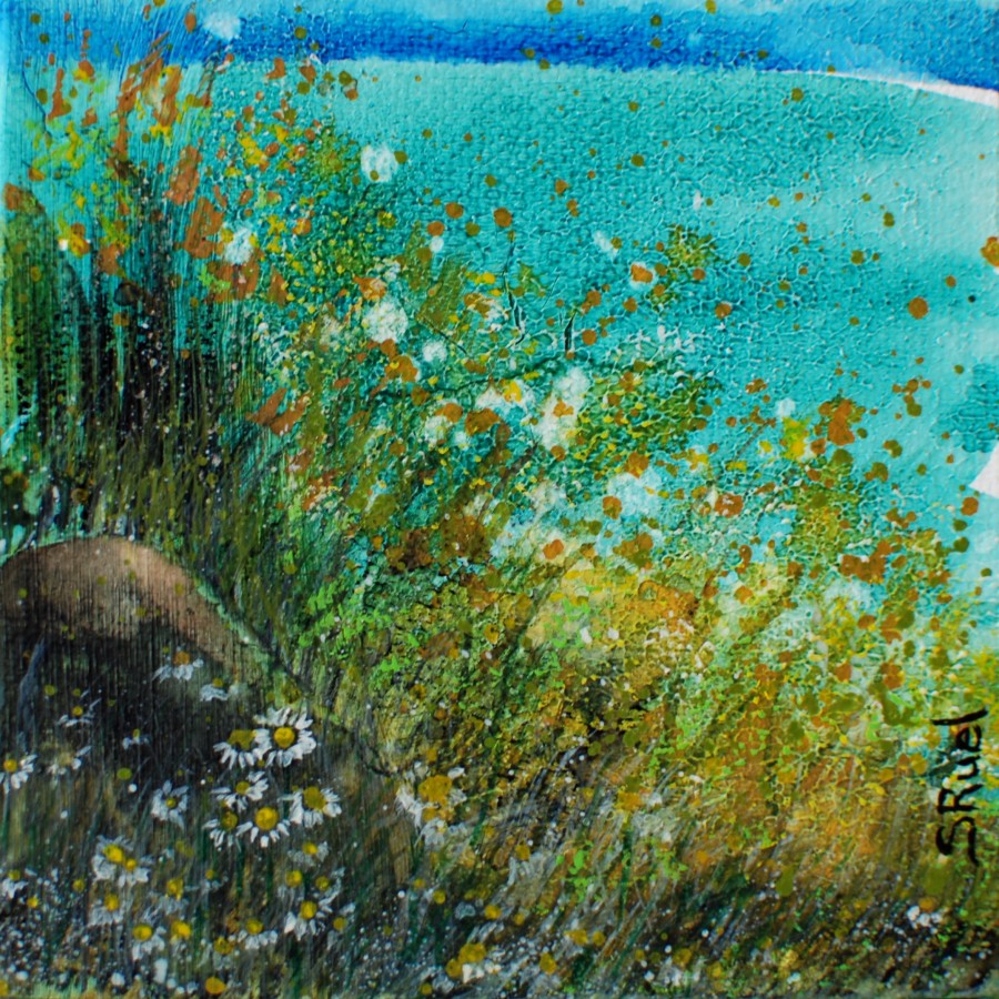 2017-12-pres-de-la-mer